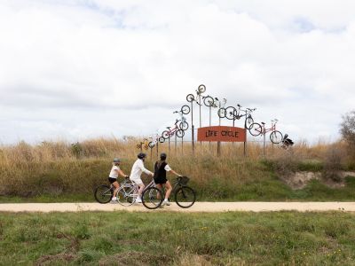 Cyclists on Great Southern Rail Trail
