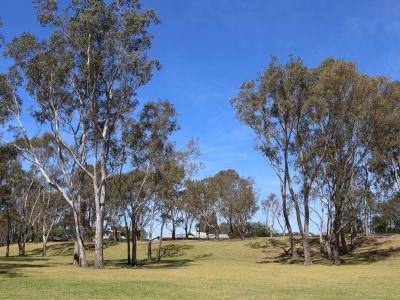 Rolling hill on the Western Side of the Port of Sale.